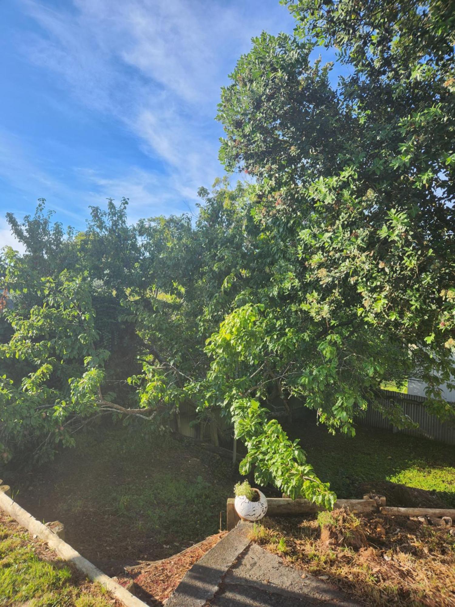 Quirky Villa Homestay Whanganui Esterno foto