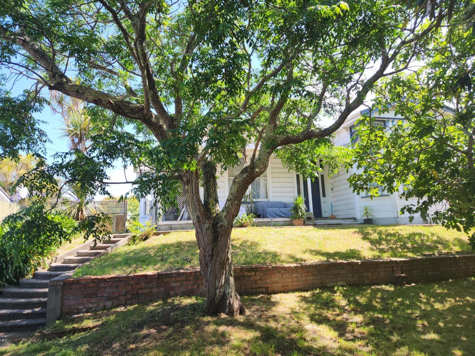 Quirky Villa Homestay Whanganui Esterno foto